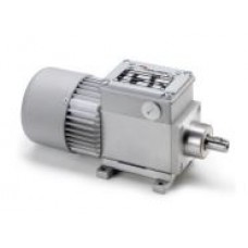 MOTOREDUCTOR MINI MOTOR AC244PT   