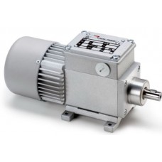 MOTOREDUCTOR MINI MOTOR SERIE AC AC320P2T 13,32 B3 015V-D0